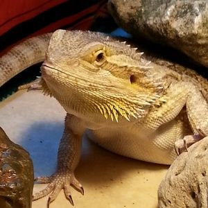 Meet your Posher, Mike